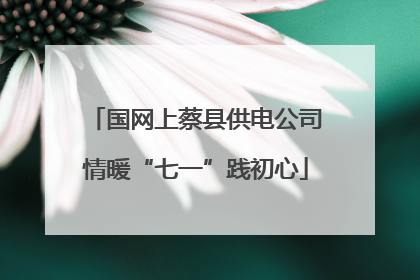 国网上蔡县供电公司情暖“七一”践初心
