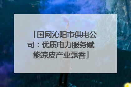 国网沁阳市供电公司：优质电力服务赋能凉皮产业飘香