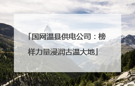 国网温县供电公司：榜样力量浸润古温大地