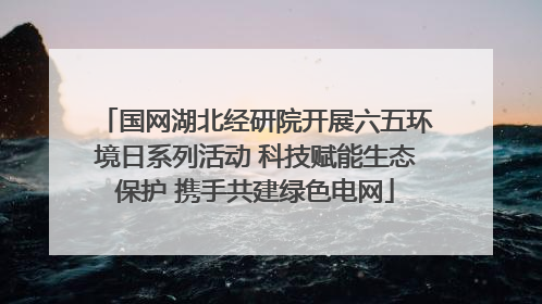 国网湖北经研院开展六五环境日系列活动 科技赋能生态保护 携手共建绿色电网
