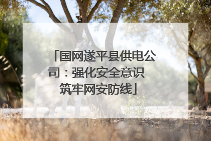 国网遂平县供电公司：强化安全意识 筑牢网安防线