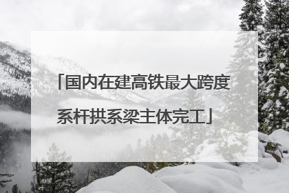 国内在建高铁最大跨度系杆拱系梁主体完工