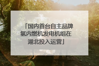 国内首台自主品牌氢内燃机发电机组在湖北投入运营
