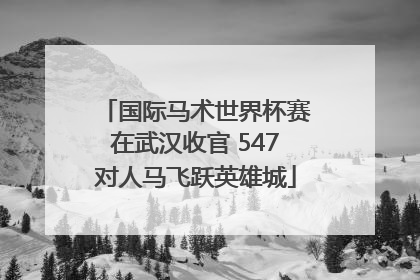 国际马术世界杯赛在武汉收官 547对人马飞跃英雄城