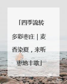 四季流转 多彩枣庄｜麦香染夏，来听枣地丰歌