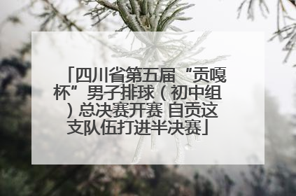 四川省第五届“贡嘎杯”男子排球（初中组）总决赛开赛 自贡这支队伍打进半决赛