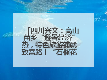 四川兴文：高山苗乡“避暑经济”热，特色旅游铺就致富路丨“石榴花开”四川行⑧