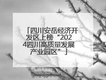 四川安岳经济开发区上榜“2024四川高质量发展产业园区”