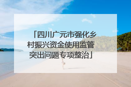 四川广元市强化乡村振兴资金使用监管突出问题专项整治