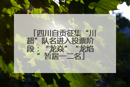 四川自贡征集“川超”队名进入投票阶段：“龙焱”“龙焰”暂居一二名