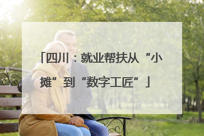 四川：就业帮扶从“小摊”到“数字工匠”