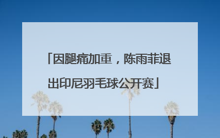 因腿痛加重，陈雨菲退出印尼羽毛球公开赛