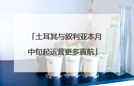 土耳其与叙利亚本月中旬起运营更多直航