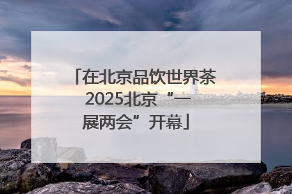 在北京品饮世界茶 2025北京“一展两会”开幕