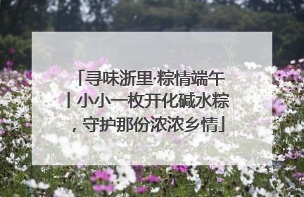 寻味浙里·粽情端午丨小小一枚开化碱水粽，守护那份浓浓乡情