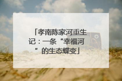 孝南陈家河重生记：一条“幸福河”的生态蝶变
