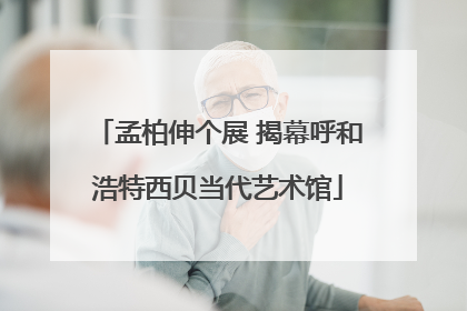 孟柏伸个展 揭幕呼和浩特西贝当代艺术馆