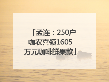 孟连：250户咖农喜领1605万元咖啡鲜果款