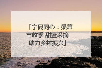 宁夏同心：桑葚丰收季 甜蜜采摘助力乡村振兴
