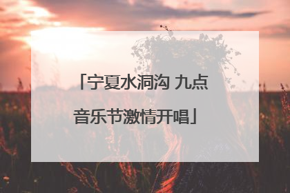 宁夏水洞沟 九点音乐节激情开唱