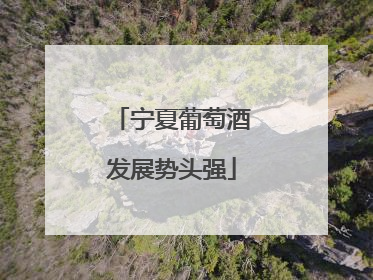 宁夏葡萄酒发展势头强