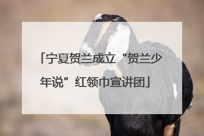 宁夏贺兰成立“贺兰少年说”红领巾宣讲团