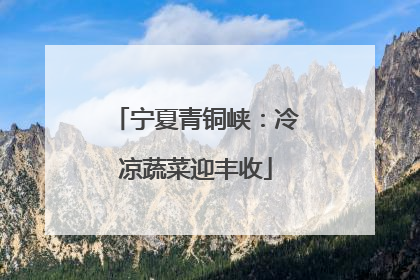 宁夏青铜峡：冷凉蔬菜迎丰收