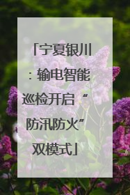 宁夏银川：输电智能巡检开启“防汛防火”双模式