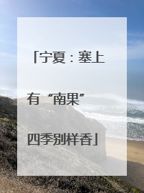 宁夏：塞上有“南果” 四季别样香
