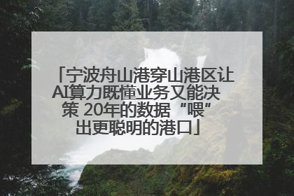 宁波舟山港穿山港区让AI算力既懂业务又能决策 20年的数据“喂”出更聪明的港口