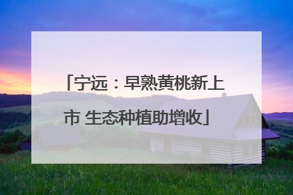 宁远：早熟黄桃新上市 生态种植助增收