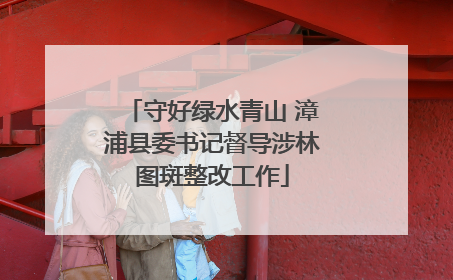 守好绿水青山 漳浦县委书记督导涉林图斑整改工作