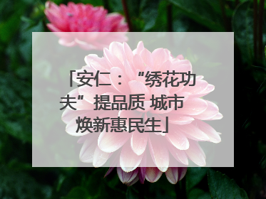 安仁：“绣花功夫”提品质 城市焕新惠民生