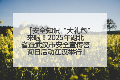 安全知识“大礼包”来啦！2025年湖北省暨武汉市安全宣传咨询日活动在汉举行