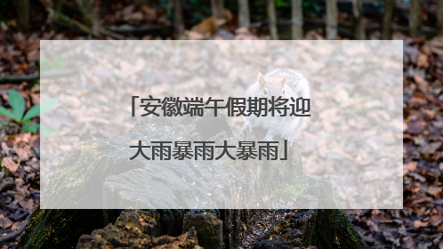 安徽端午假期将迎大雨暴雨大暴雨