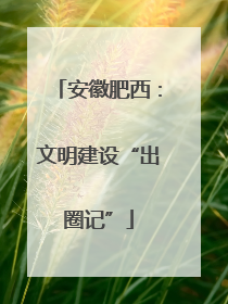 安徽肥西：文明建设“出圈记”