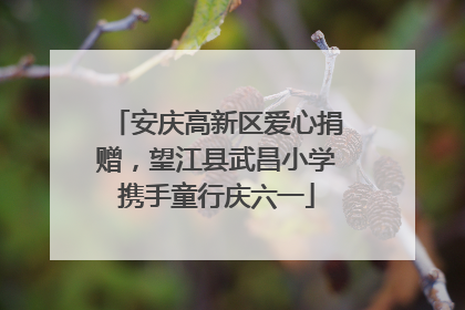 安庆高新区爱心捐赠，望江县武昌小学携手童行庆六一