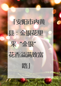 安阳市内黄县：金银花里采“金银” 花香溢满致富路