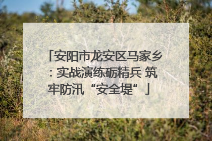 安阳市龙安区马家乡：实战演练砺精兵 筑牢防汛“安全堤”