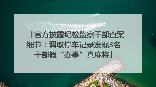 官方披露纪检监察干部查案细节：调取停车记录发现3名干部假“办事”真麻将