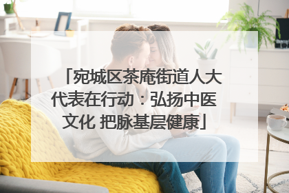宛城区茶庵街道人大代表在行动：弘扬中医文化 把脉基层健康
