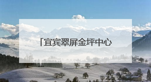 宜宾翠屏金坪中心校：共探教育特色，携手共促发展