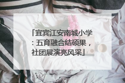 宜宾江安南城小学：五育融合结硕果，社团展演亮风采