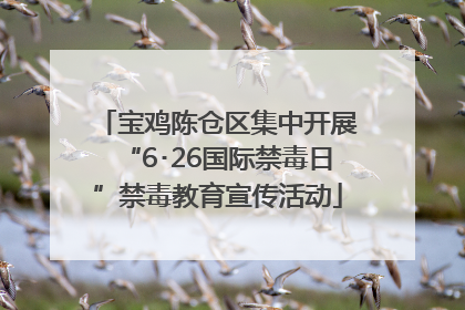 宝鸡陈仓区集中开展“6･26国际禁毒日”禁毒教育宣传活动