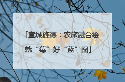 宣城旌德：农旅融合绘就“莓”好“蓝”图