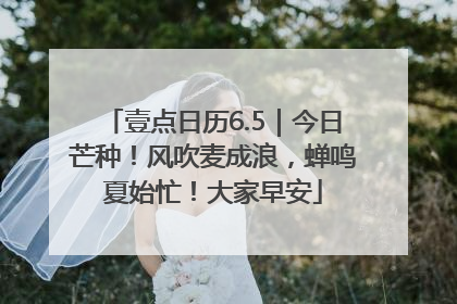 壹点日历6.5｜今日芒种！风吹麦成浪，蝉鸣夏始忙！大家早安