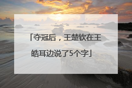 夺冠后，王楚钦在王皓耳边说了5个字