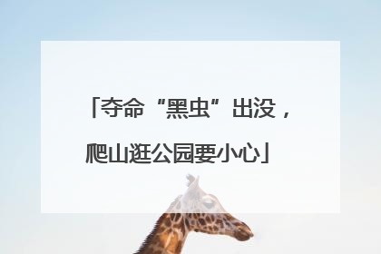 夺命“黑虫”出没，爬山逛公园要小心