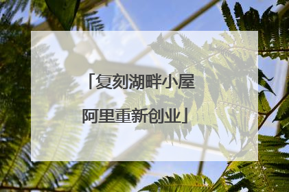 复刻湖畔小屋 阿里重新创业