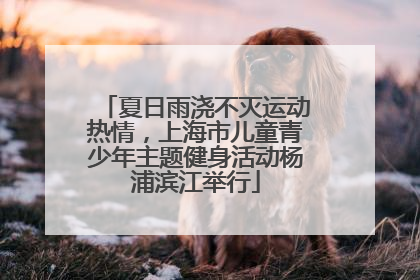 夏日雨浇不灭运动热情，上海市儿童青少年主题健身活动杨浦滨江举行